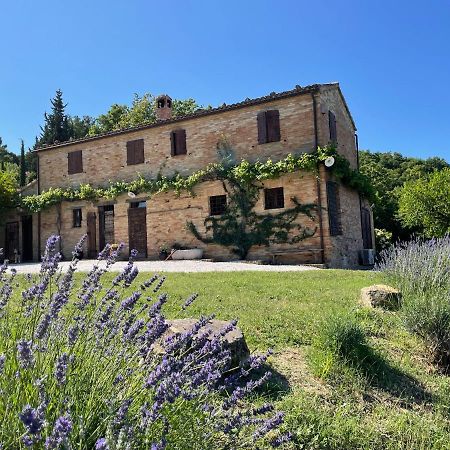 L'Infinito Bed & Breakfast Mombaroccio Exterior photo